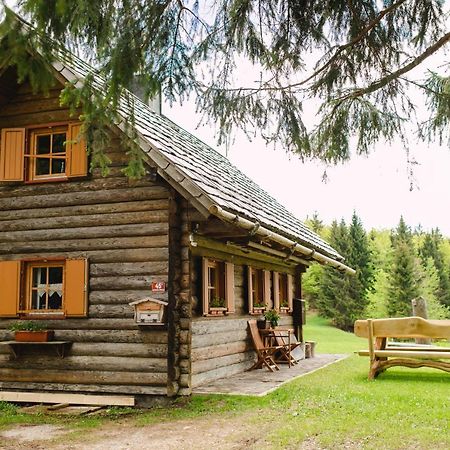 Villa Wood House Irena-Pocitniska Hisa Bohinj Exterior foto
